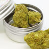 Amnesia haze likeweed
