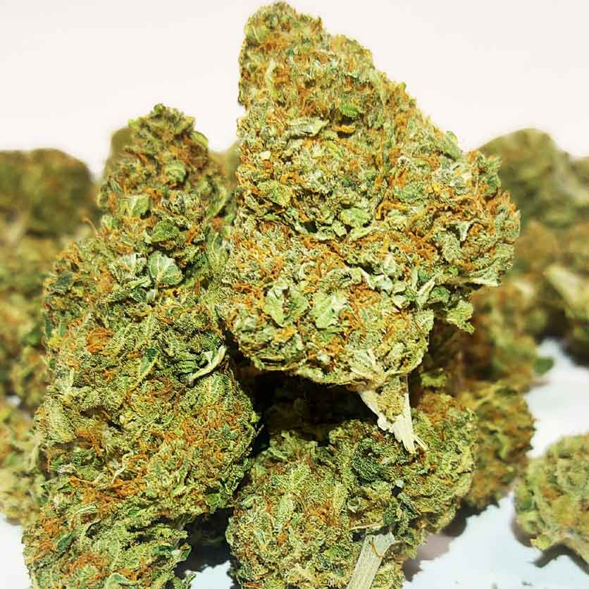 amnesia it weed cannabis