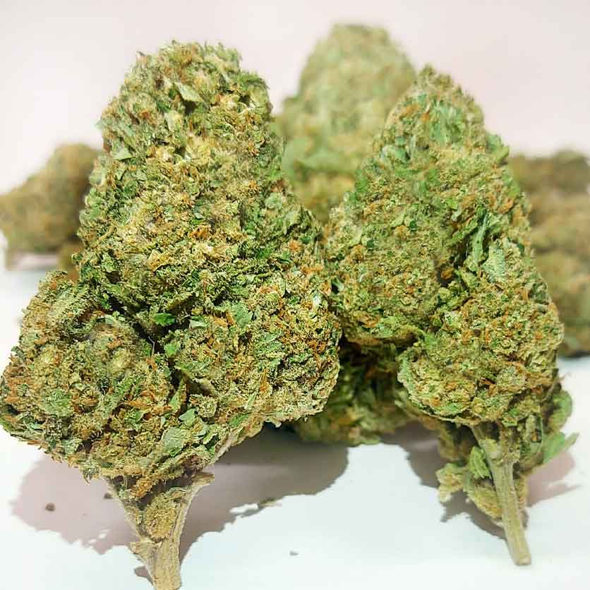 gorilla glue cbd weed cannabis