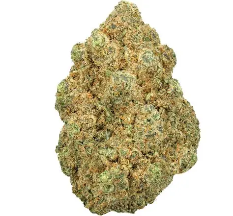 gary payton cbd