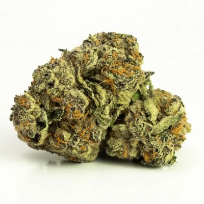 hindu kush